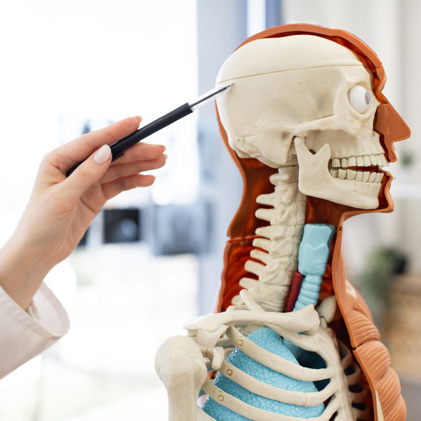 - Precision Chiropractic West